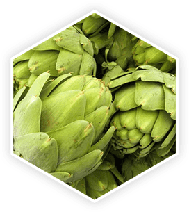 Artichoke Extract ingredient