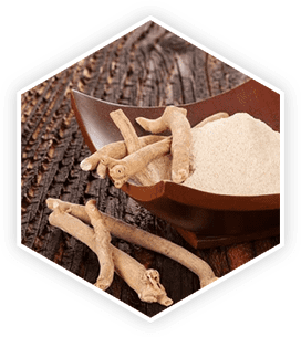 Ashwagandha ingredient