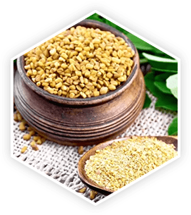 Fenugreek ingredient