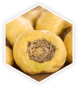 Maca Root ingredient