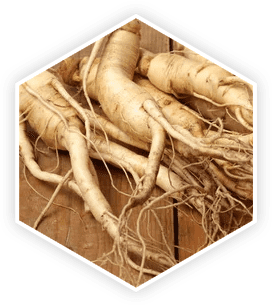 Panax Ginseng ingredient