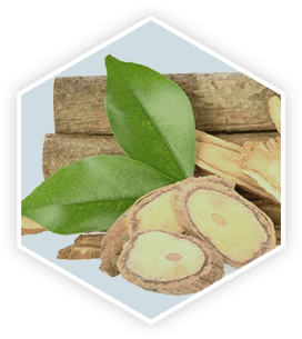 Tongkat Ali ingredient